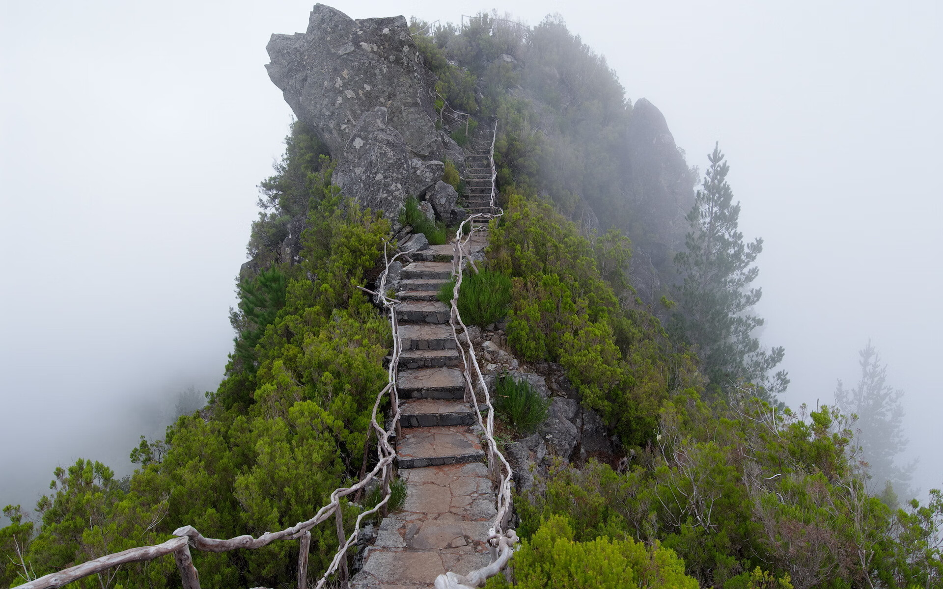 _极光穿越跑：光影中追逐梦想_，极光的越野性能怎么样
