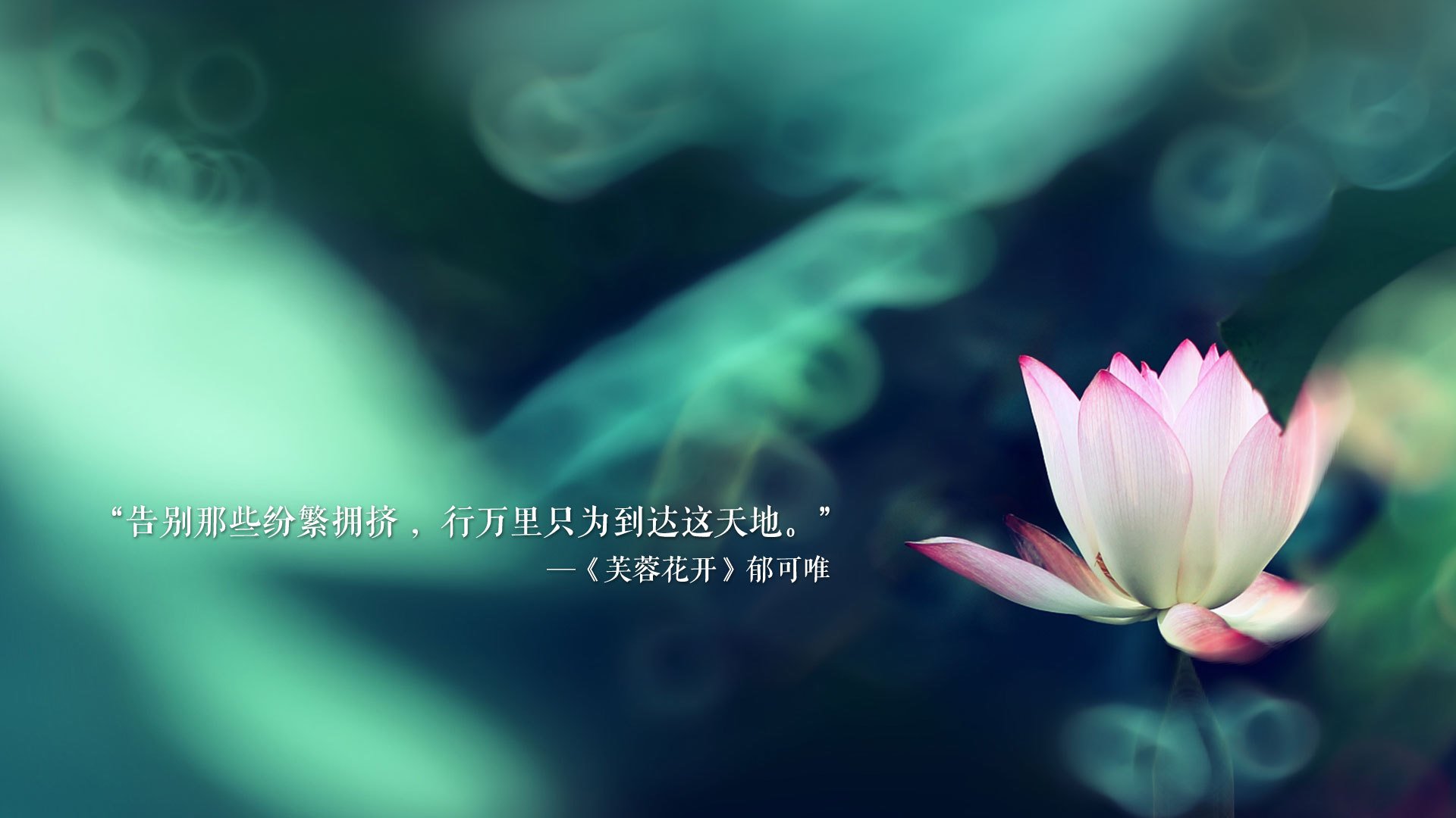 史上最年轻“冠军射手”，天赋成就未来，最年轻的射箭冠军