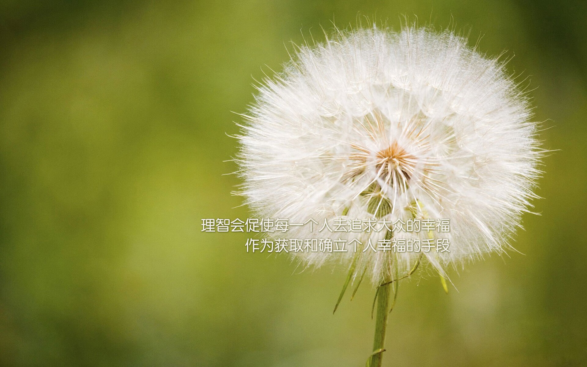 迈凯轮宣布新技术研发计划，追赶领先者，迈凯轮全新
