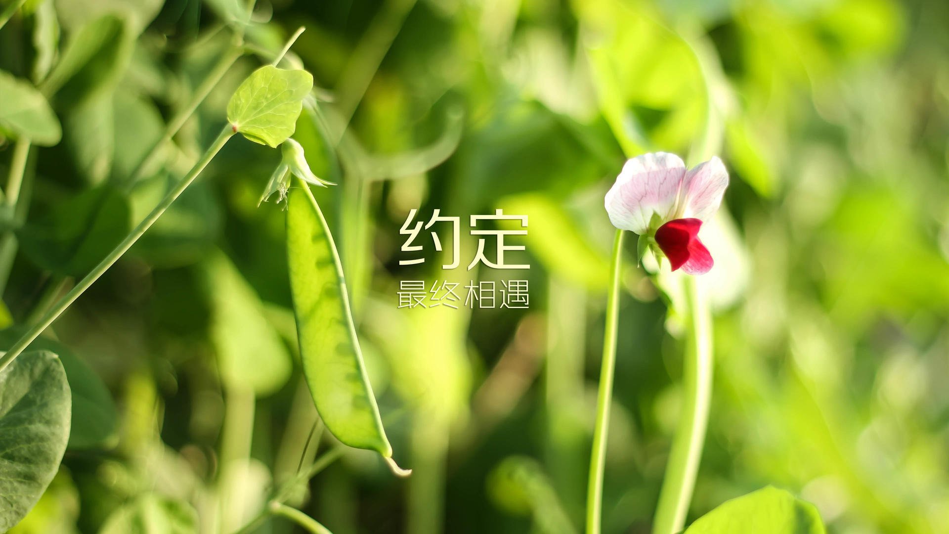 大连人民银行中后场相继犯错，导致失利，大连人民银行官网