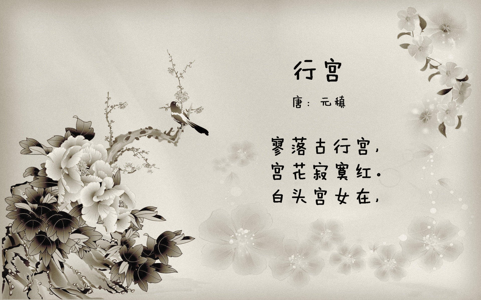 中国篮球青训教练员能力提升计划，篮球青少年教练员的执教要点有哪些