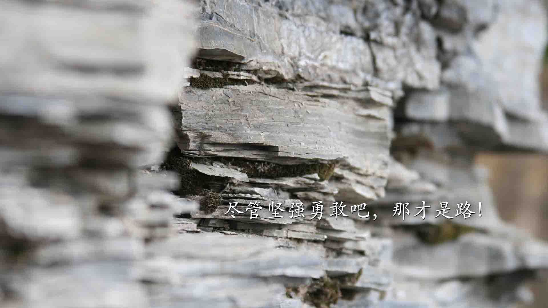 体育志愿服务机制建设研究，体育志愿者服务活动内容