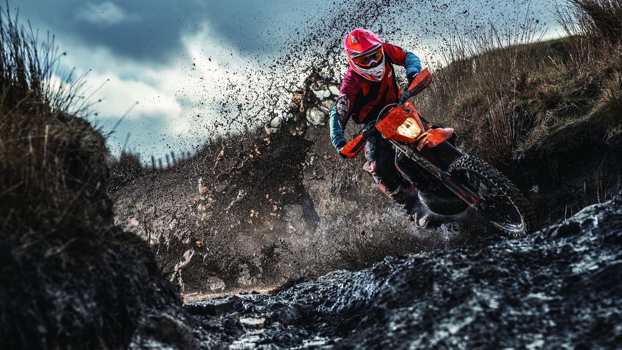 “2025世界游泳锦标赛：谁能成为泳坛的下一个传奇？”