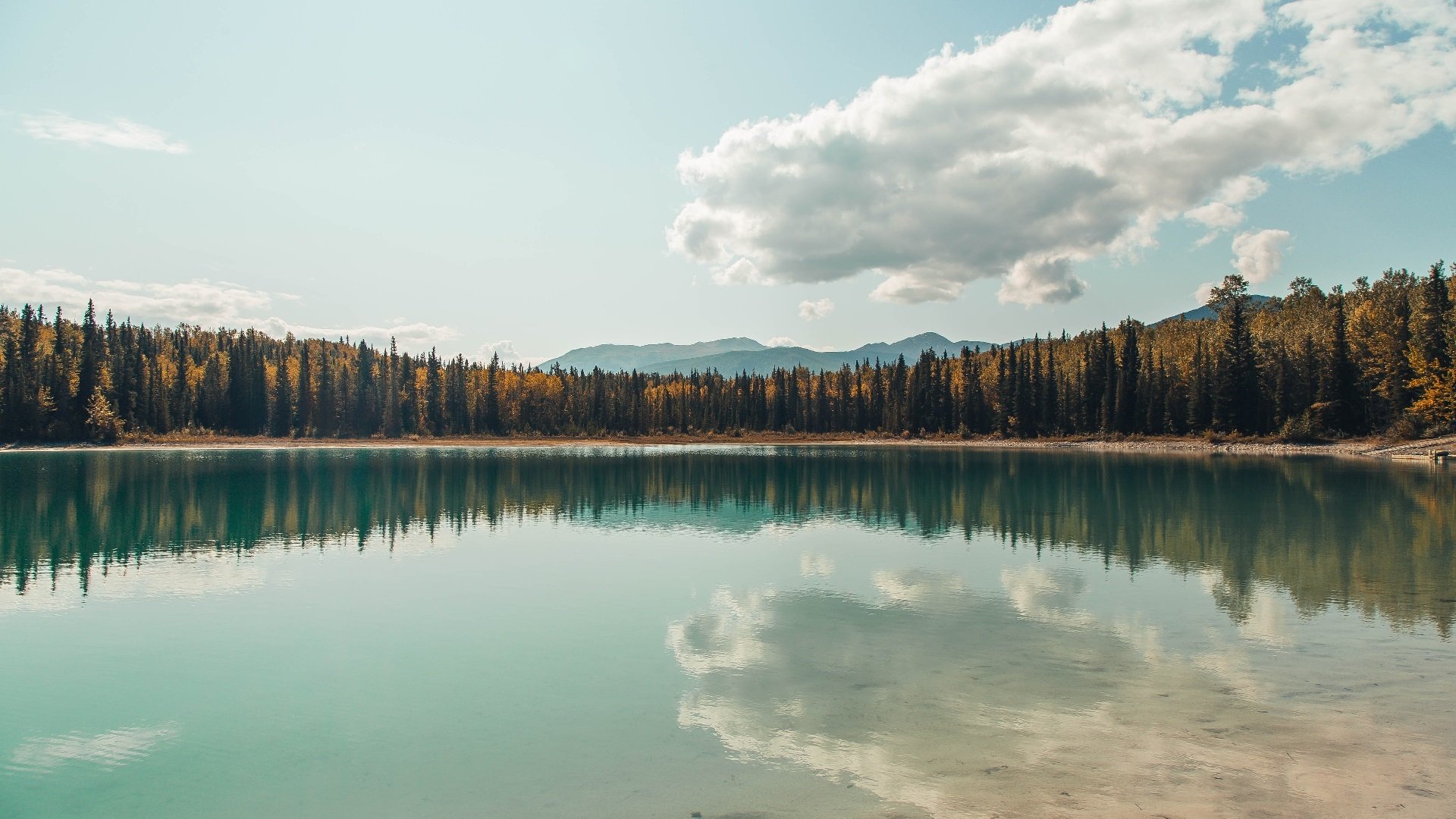 中国三人女篮细节训练不断完善，中国三人女篮队员名单照片