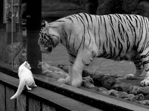 全民健身新计划覆盖乡镇地区，《全民健身计划(2021-2025年)》