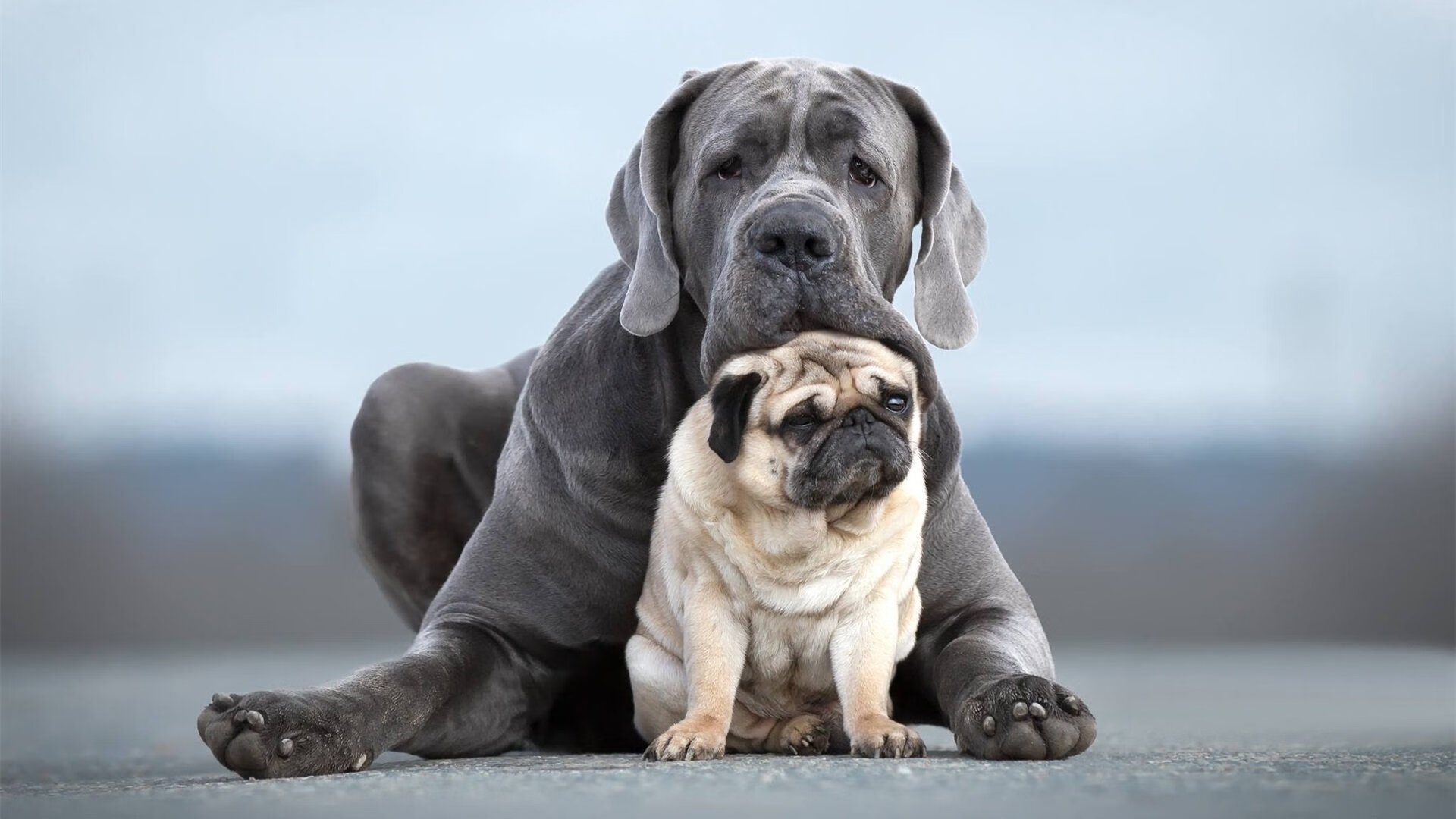 关键比赛中主教练布阵风格是否影响胜率高低，各个球队主教练